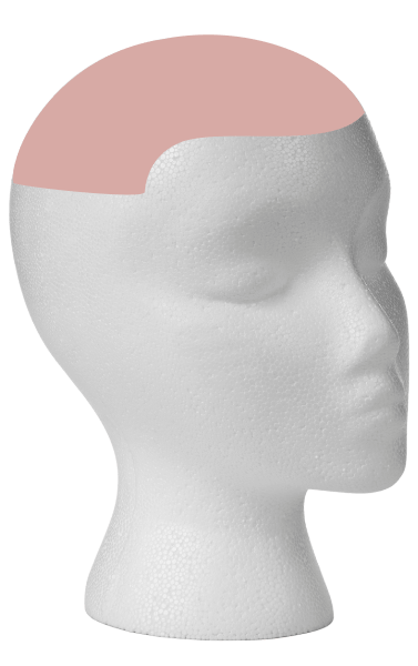 protesis pieza capilar