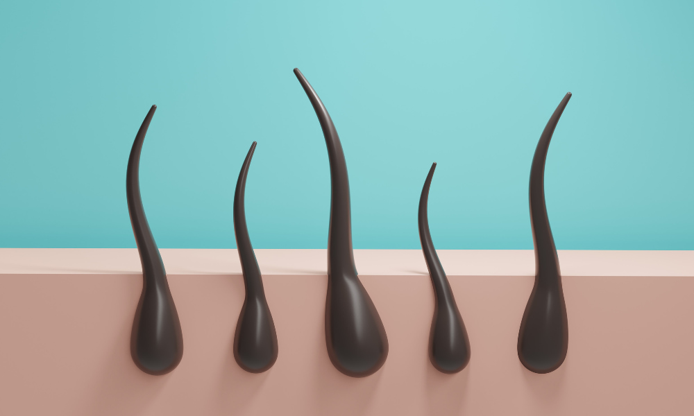 factores que influyen en el crecimiento del pelo